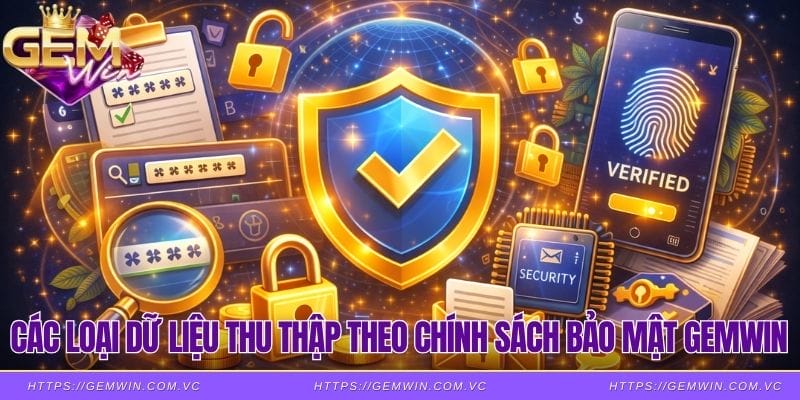 Các loại dữ liệu thu thập theo chính sách bảo mật Gemwin